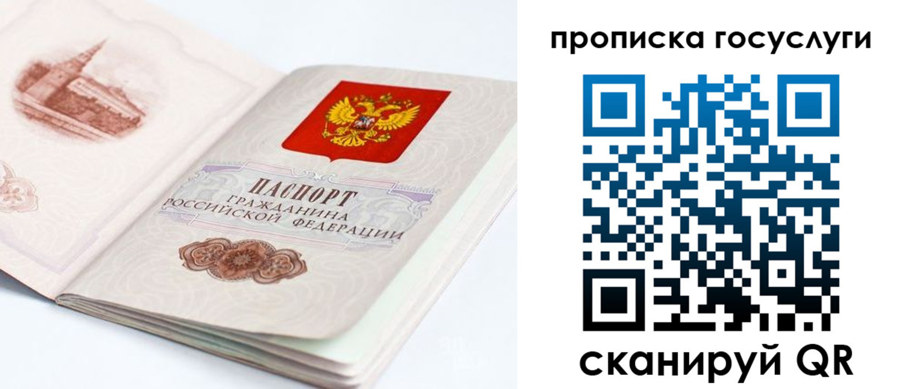 временная регистрация в Рошале